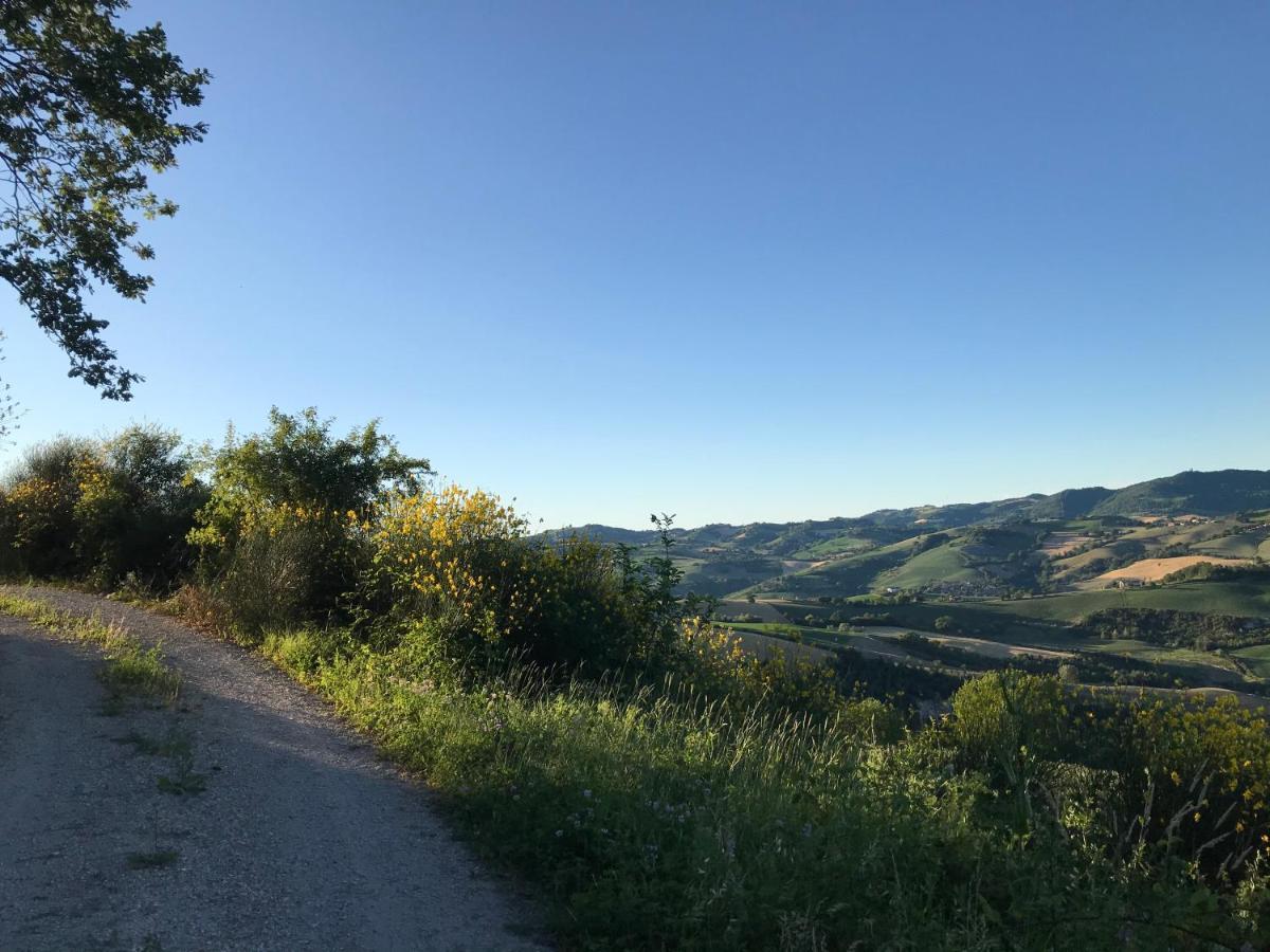 Agriturismo "Le Cannelle" Spa & Day Wellness Villa Fossombrone Eksteriør bilde