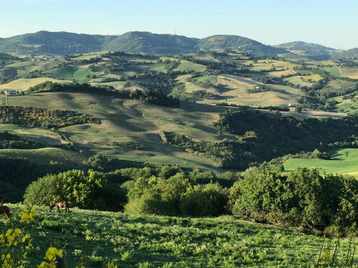 Agriturismo "Le Cannelle" Spa & Day Wellness Villa Fossombrone Eksteriør bilde