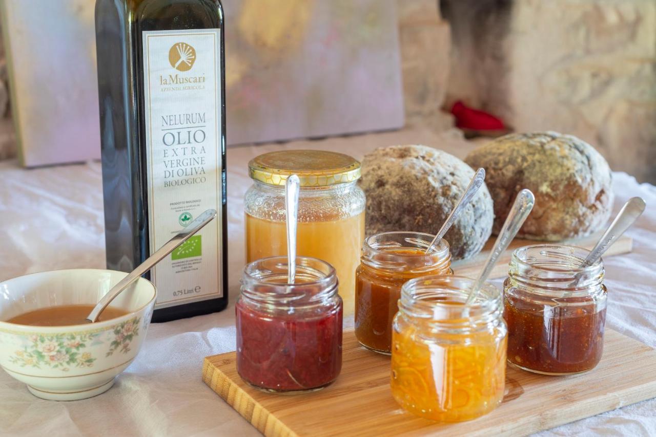 Agriturismo "Le Cannelle" Spa & Day Wellness Villa Fossombrone Eksteriør bilde