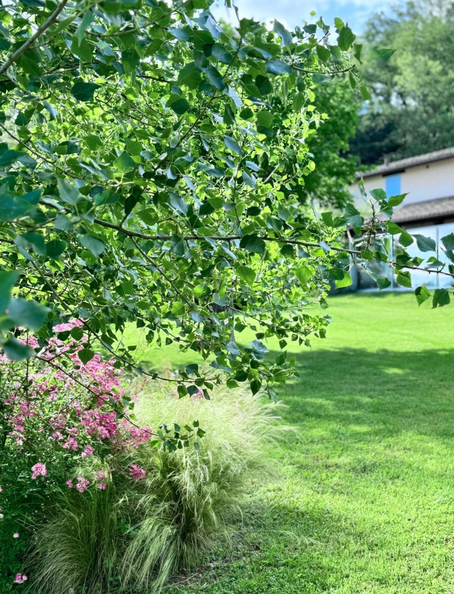 Agriturismo "Le Cannelle" Spa & Day Wellness Villa Fossombrone Eksteriør bilde