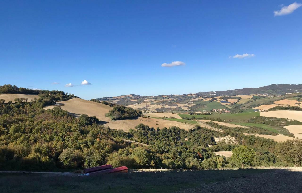 Agriturismo "Le Cannelle" Spa & Day Wellness Villa Fossombrone Eksteriør bilde